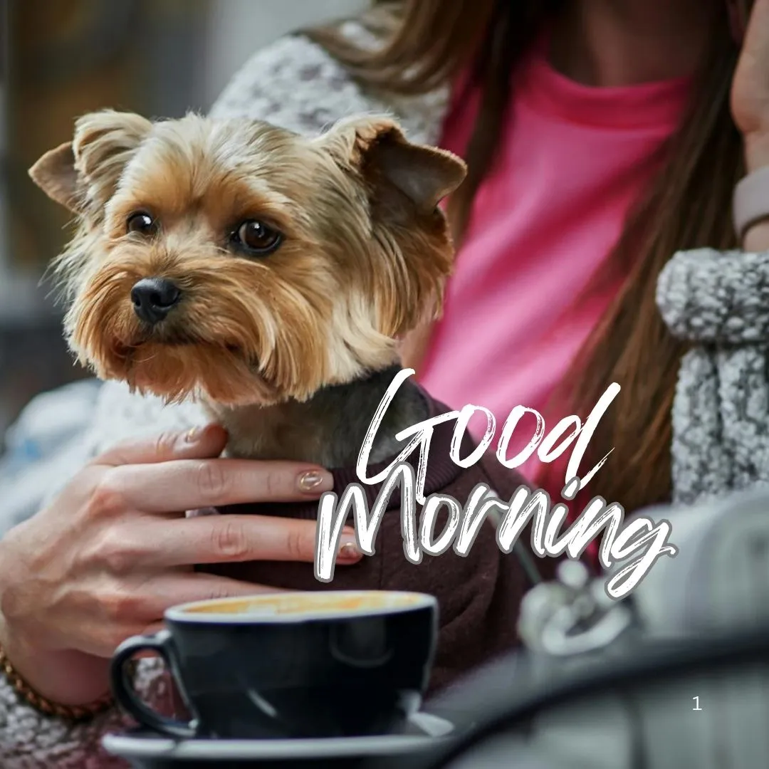 Good Morning Images 12 Yorkshire Terrier dog held by woman at café with cup of coffee and “Good Morning” text