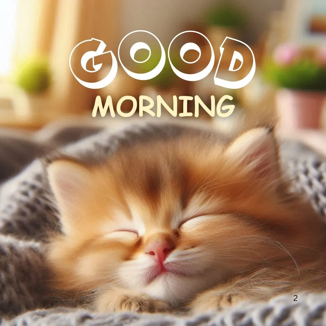 Good Morning Kitten Image Adorable kitten blinking with good morning message