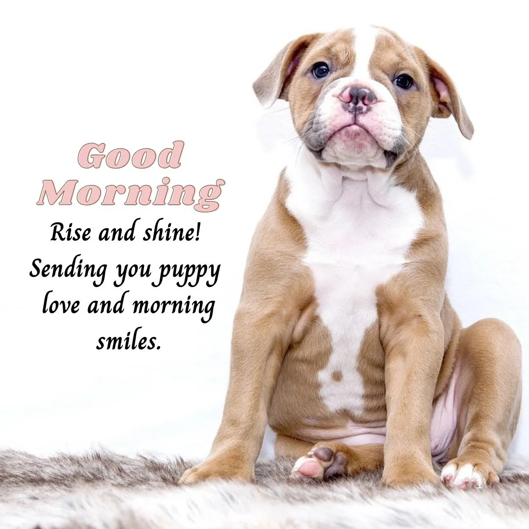 Adorable puppy sitting on a soft blanket, perfect for a cheerful good morning greeting.